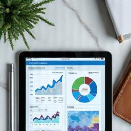 Detailed sports market analysis documents